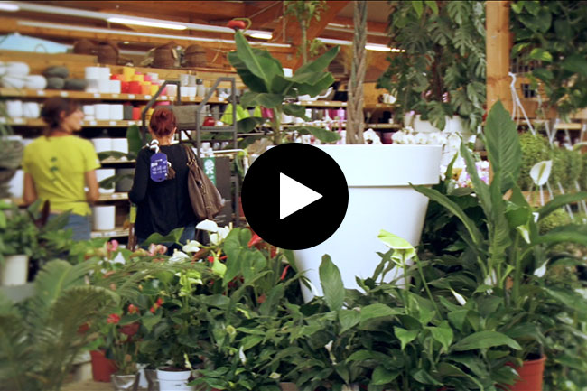 Retour d'expérience : Botanic