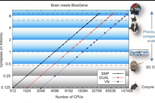 La puce Loihi d'Intel aussi performante qu'un cerveau de souris en 2019