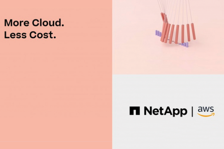 netapp customer success story